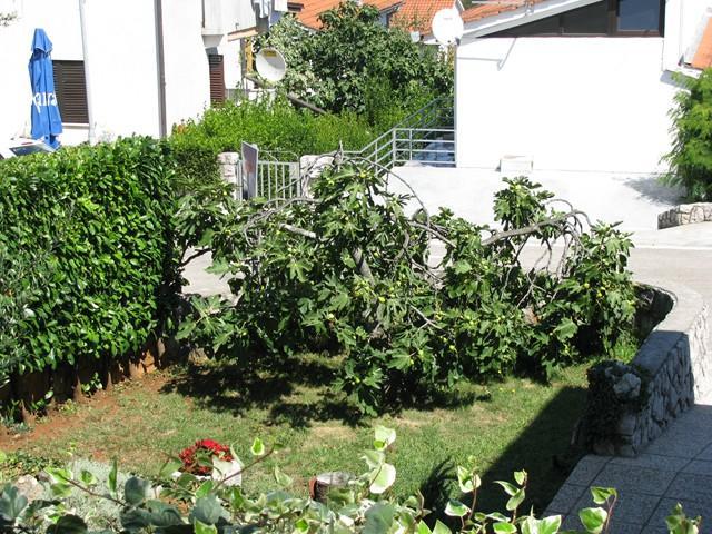 Apartman "Ela" Njivice Luaran gambar
