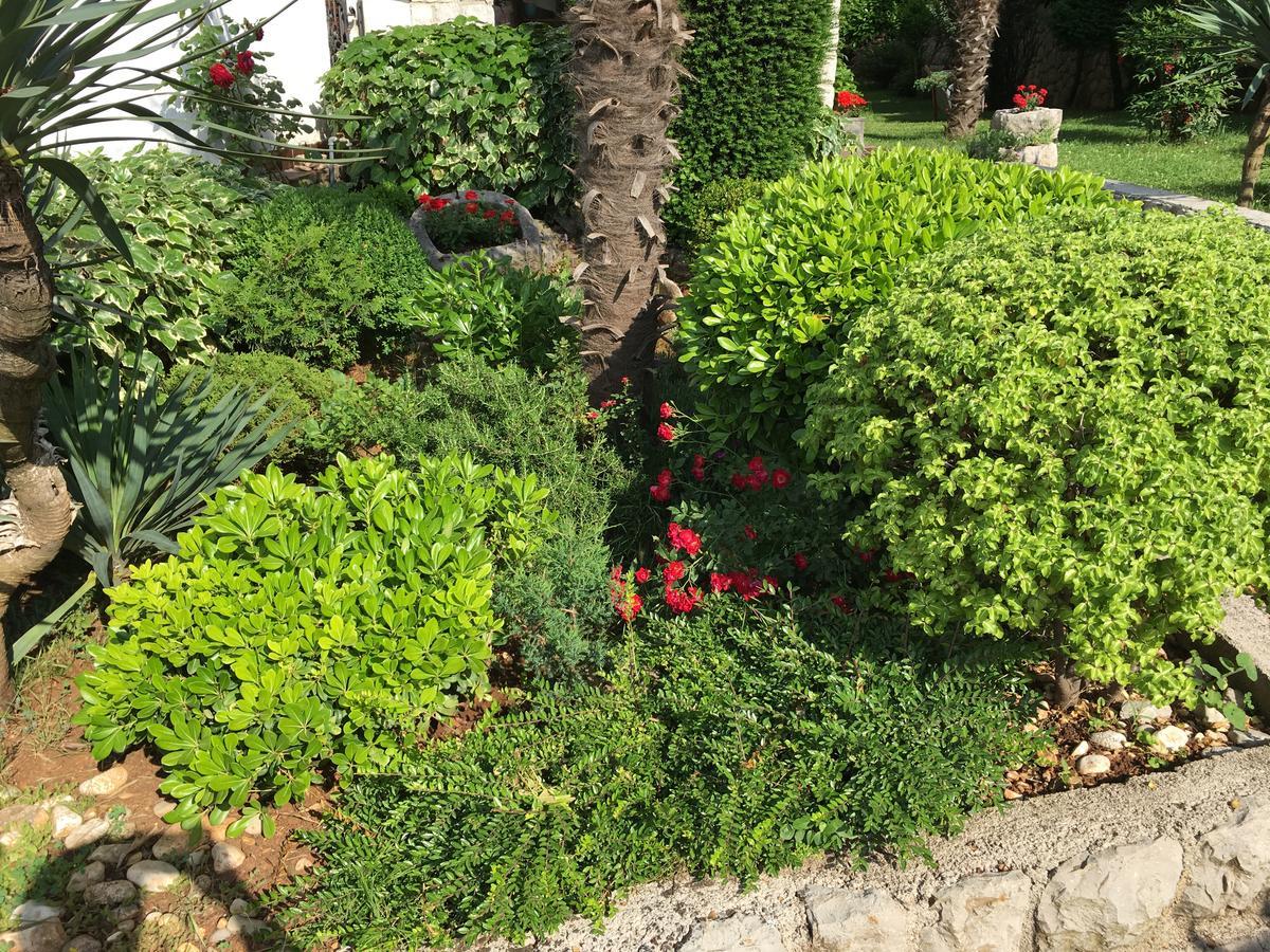 Apartman "Ela" Njivice Luaran gambar